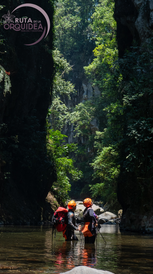 ruta de la orquidea en coatepec cañon de pextlan