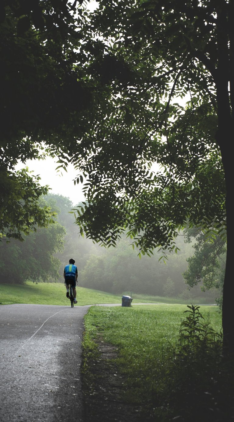 A cyclist riding a bike on a paved park trail surrounded by lush green trees and morning mist.