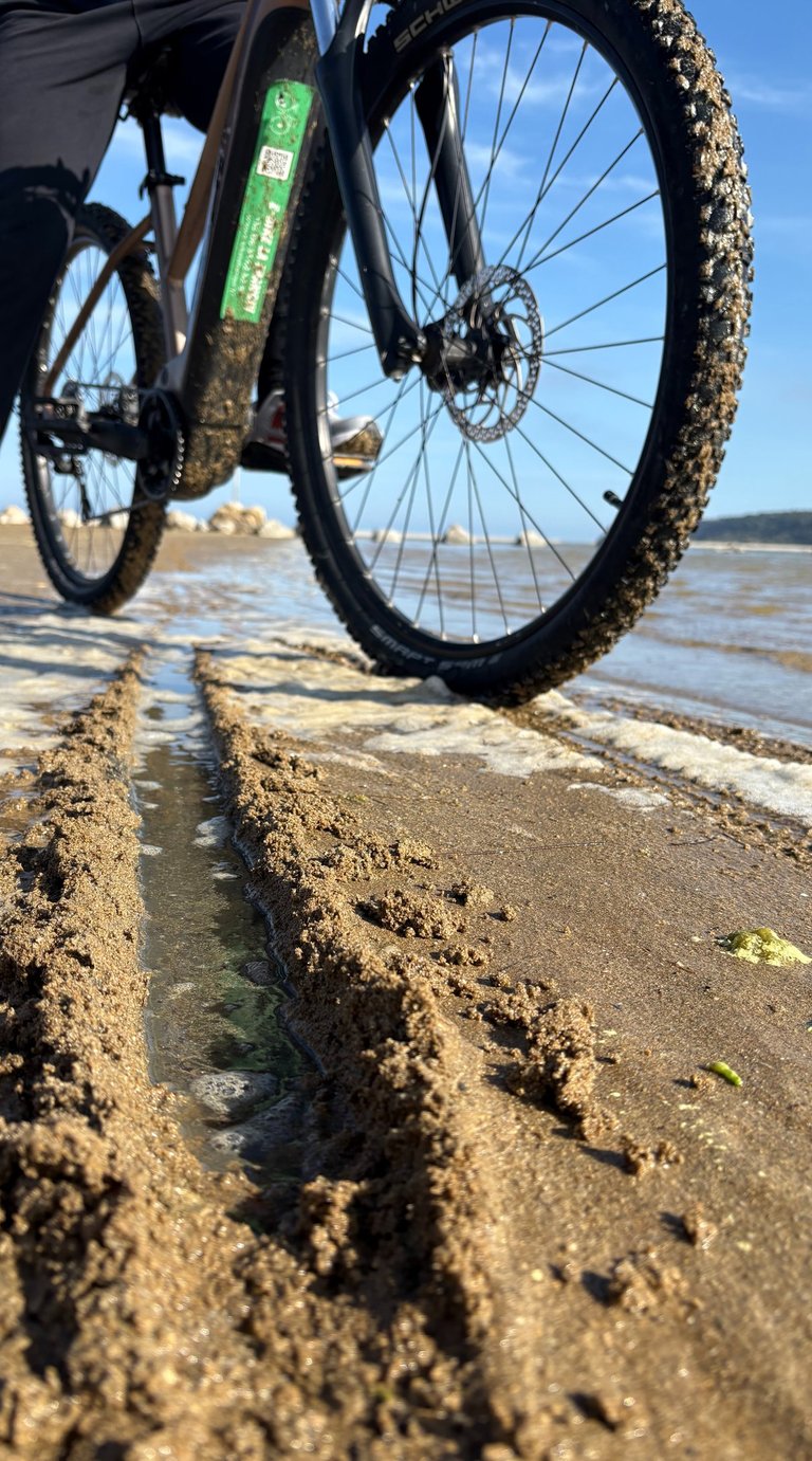 Low-angle view of an electric mountain bike leaving tire tracks in wet sand on a sunny beach.
