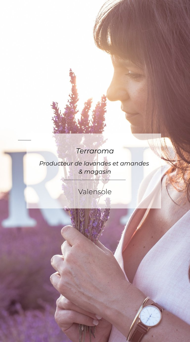 Producteur de lavande en Provence à Valensole, portrait naturel en extérieur
