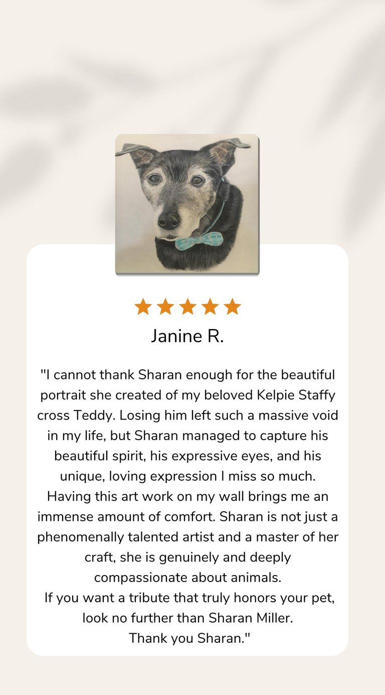 Fine art pastel pet portrait with exceptional detail and realistic features.