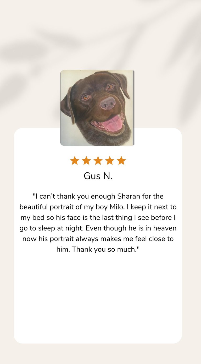 Realistic pastel pet portrait capturing lifelike detail and expression.