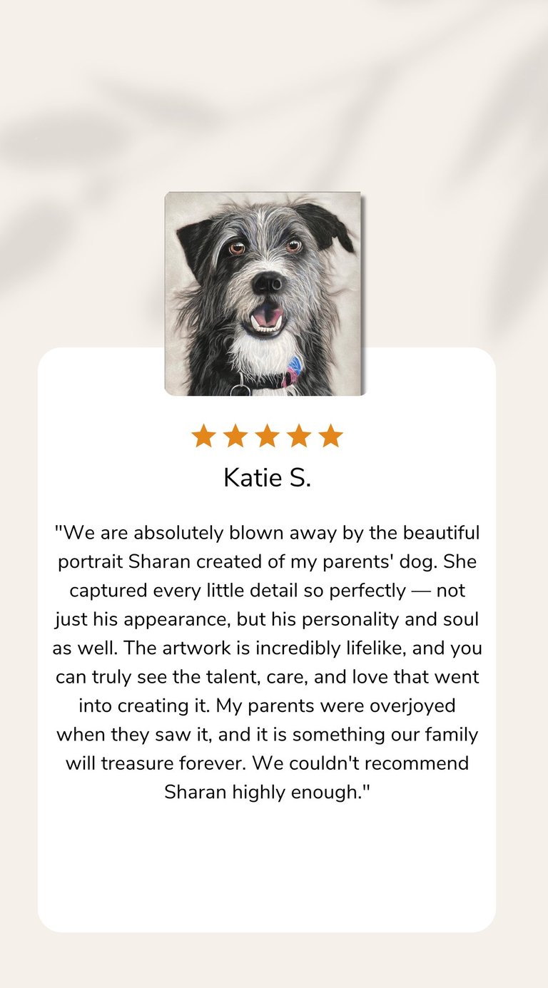 Pet Portrait Testimonial