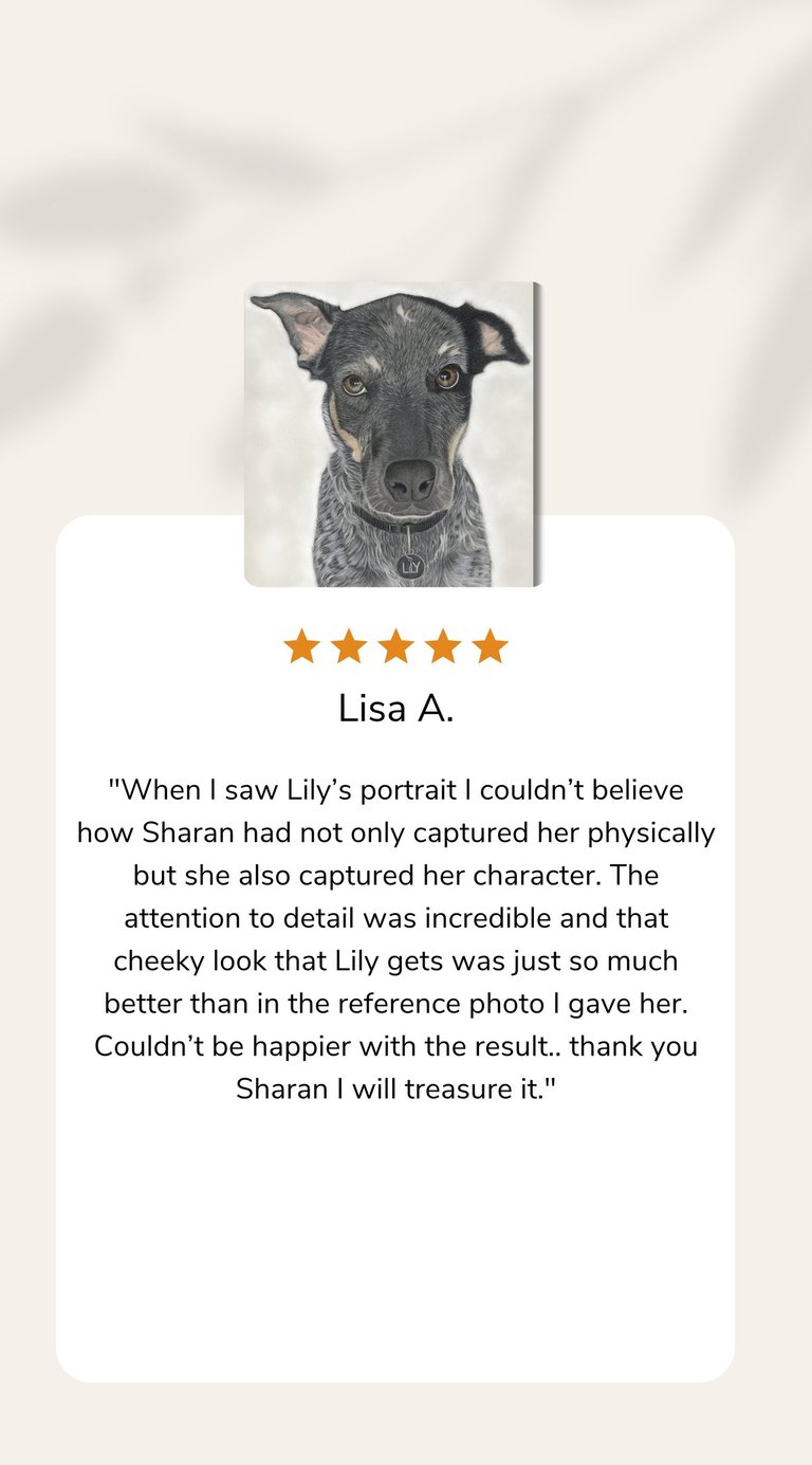 Pet Portrait Testimonial