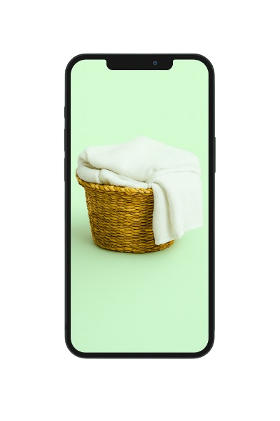 Download ZAPP Laundry app – book pickup instantly across IG postcodes