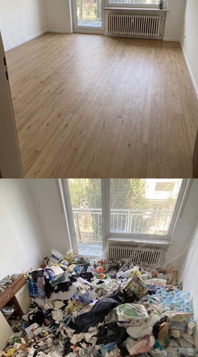 messie-reinigung-darmstadt-vorher-nachher.jpg