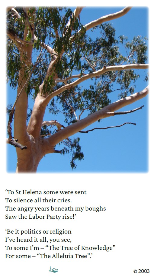 "The Tree" part 2 from "Beyond the Boundary Gate" Peter Frazer