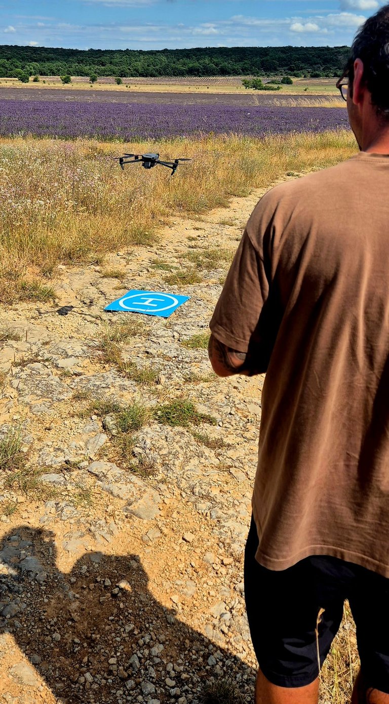 Tournage au dessus des lavandes pour une commande de l'Office de Tourisme à Méjannes Le Clap