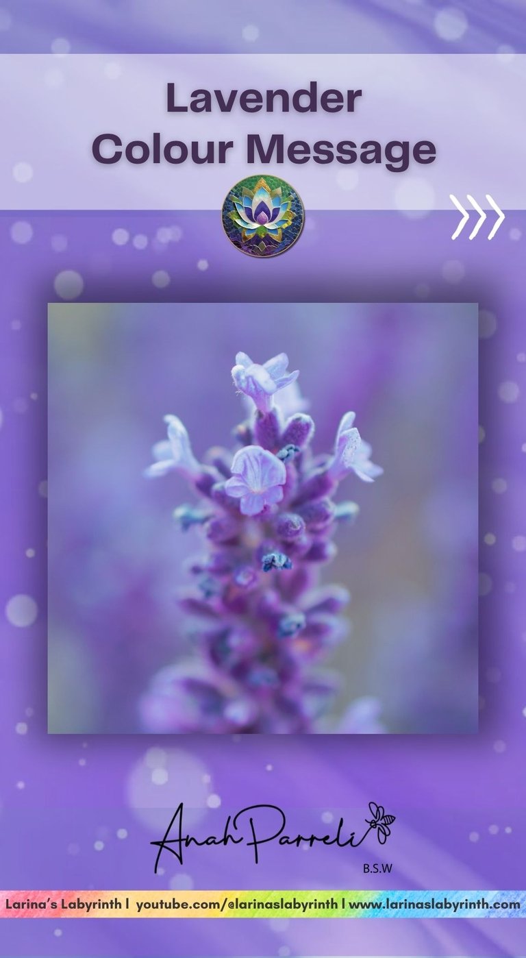 Colour message: Power of Purple Lavender. Colour Healing, Color Healing