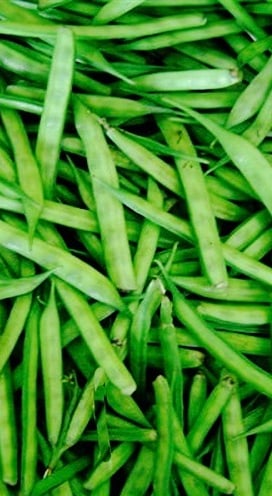 Guar bean