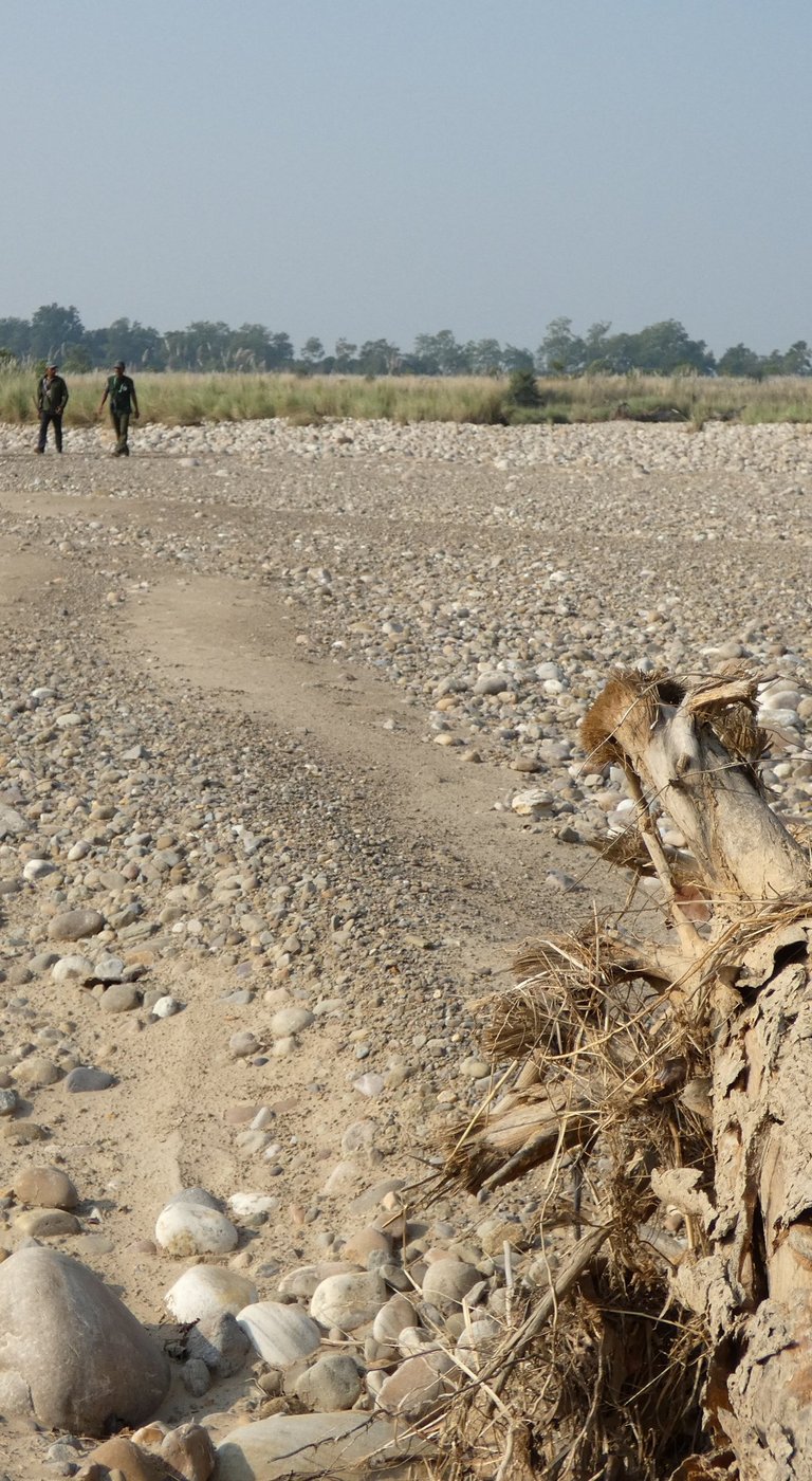 guides scouting the terrain