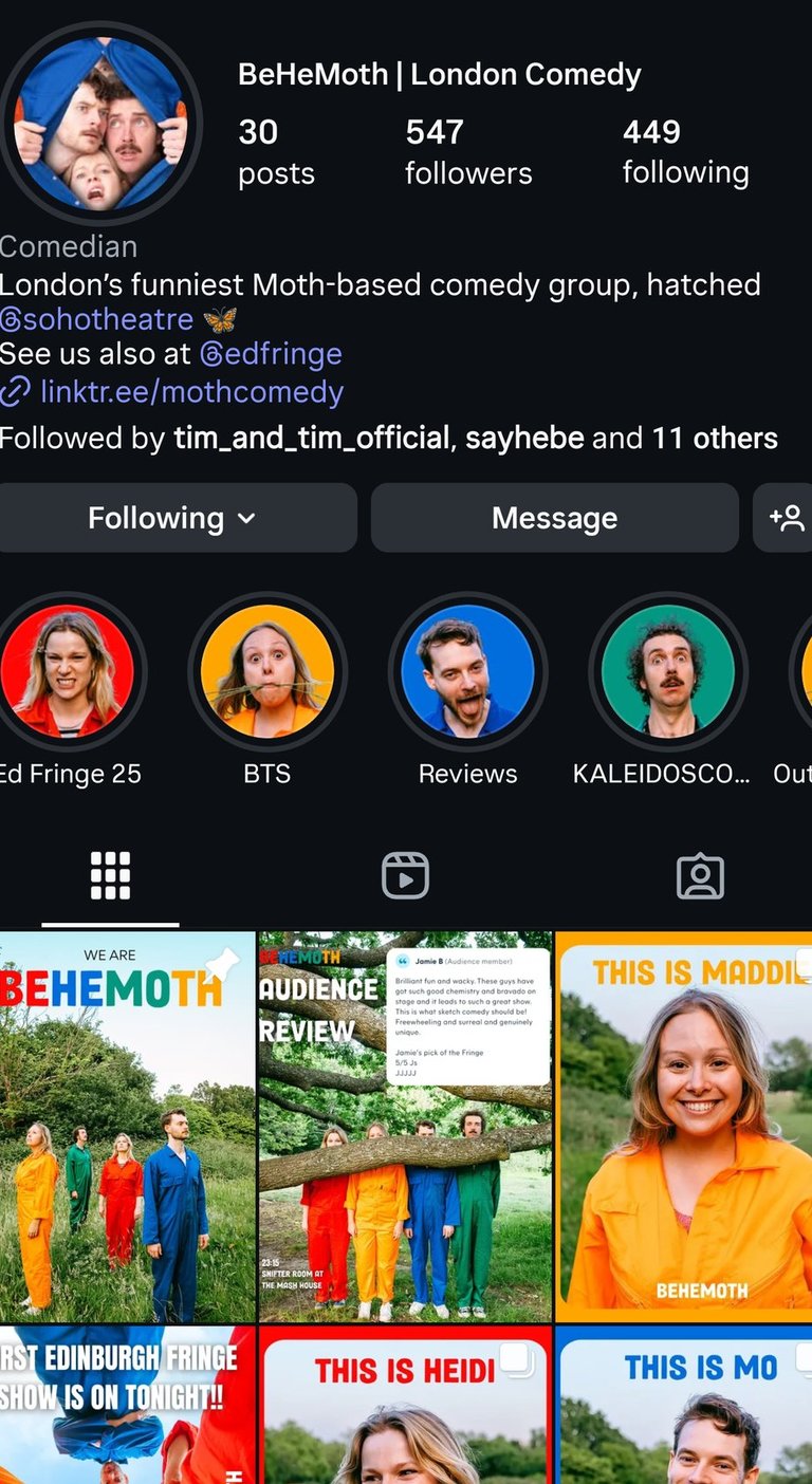 Screenshot of BeHeMoth Comedy Instagram Page after a Instagram audit by Laura Franklin