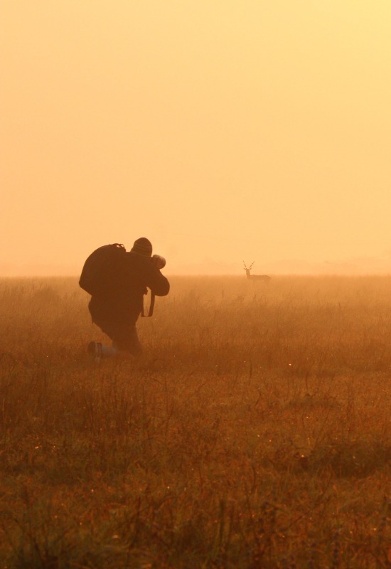 Photographer kneeling in golden morning light capturing wildlife in the African bushveld