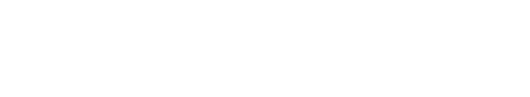 Luxury Custom Homes