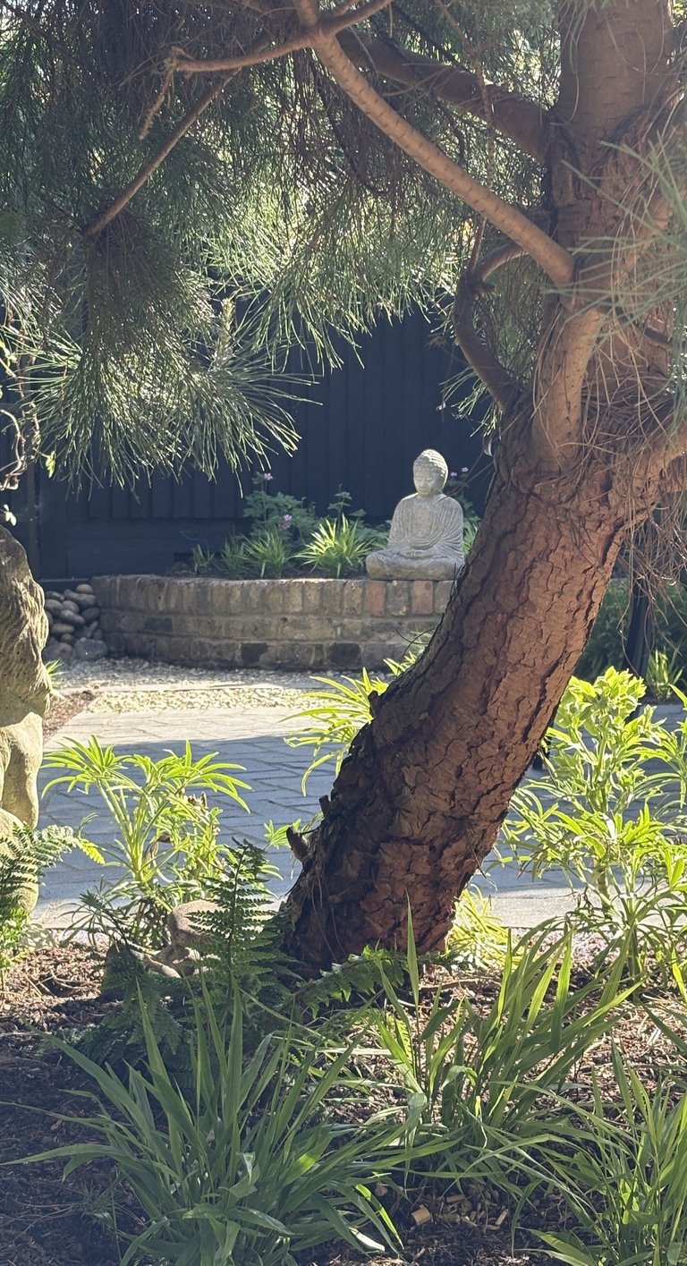 Tranquil courtyard garden influenced by Japanese aesthetics