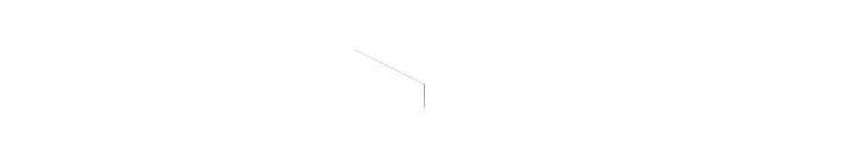 White Master Carpet Logo