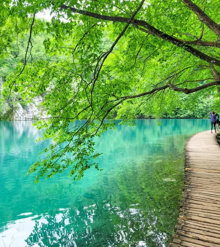 The photo shows amazing nature - a turquoise blue lake and green trees over it, and a small wooden pathway along it.