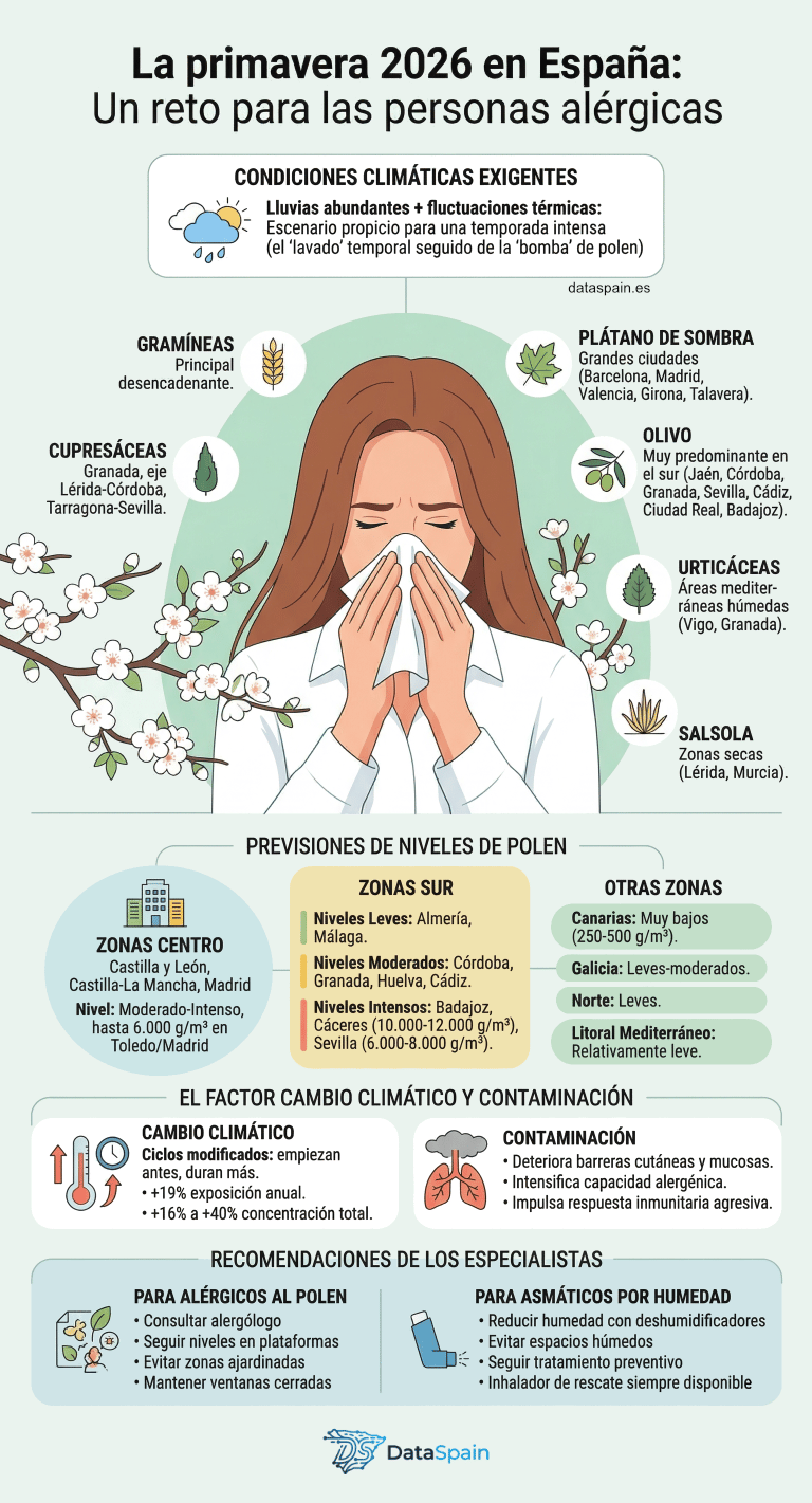 Infografía de la Previsión Alergia Primavera 2026 en España: La bomba de polen