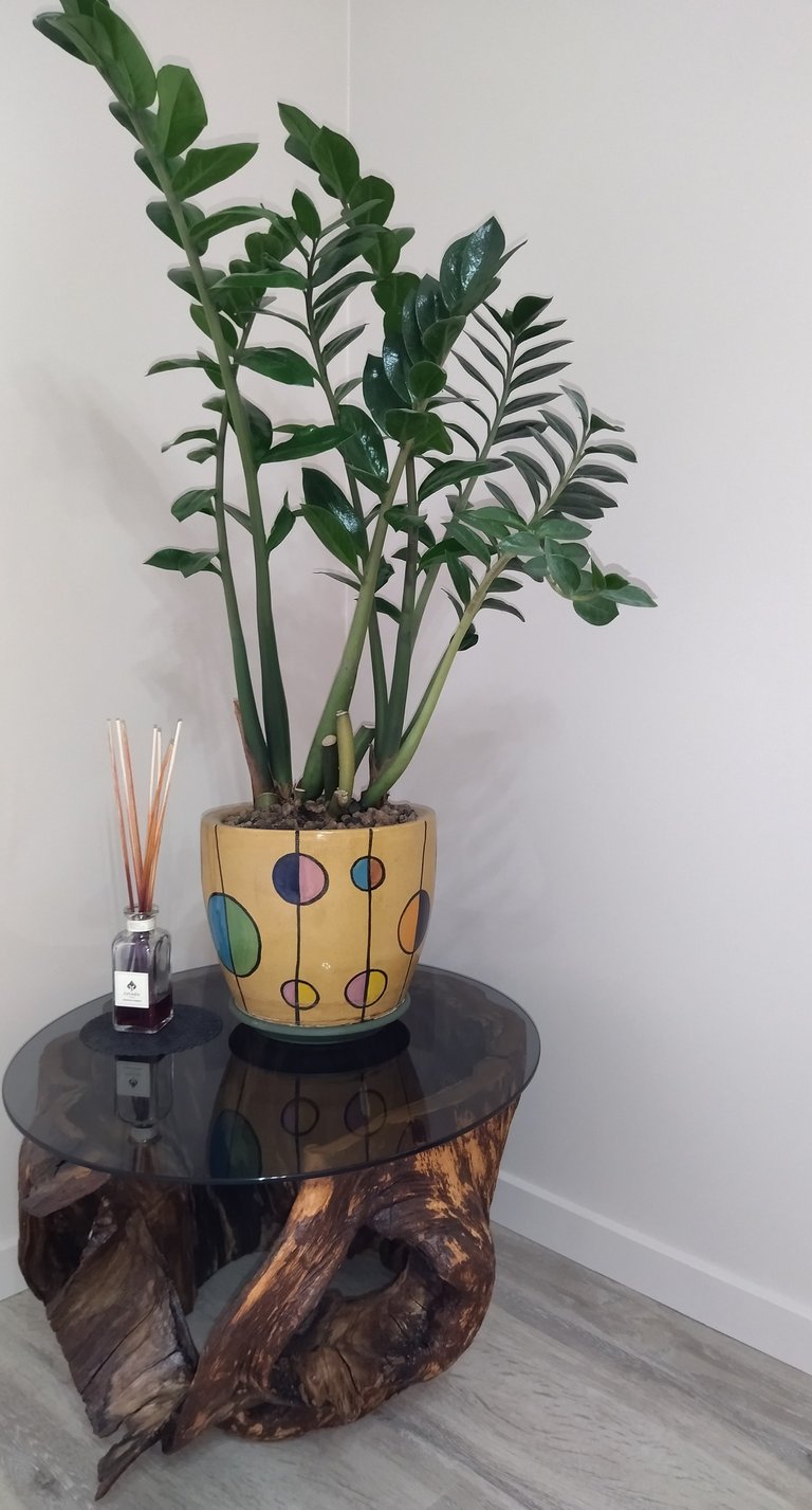 a planter with a plant in a wooden table
