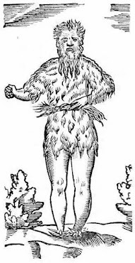 Vintage woodcut illustration of a mythical wild giant with a beard and fur-covered body.
