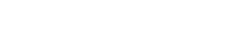 want capital now logo