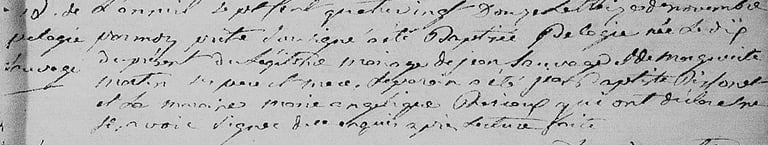 Birth of Pelagie Sauvage