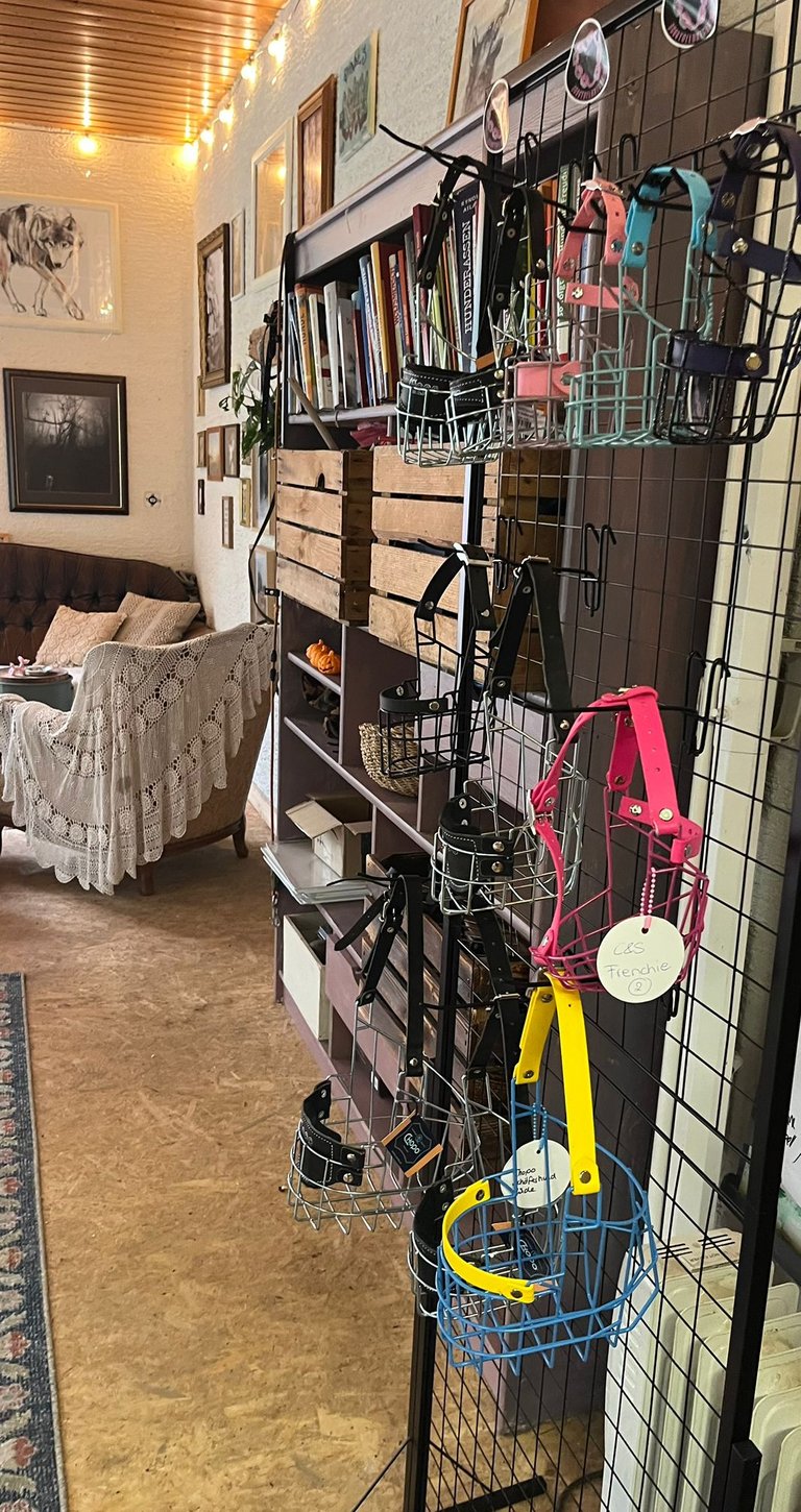 Maulkörbe in verschiedenen Farben, Maulkorb in Pink Französische Bulldogge, Hundeschule