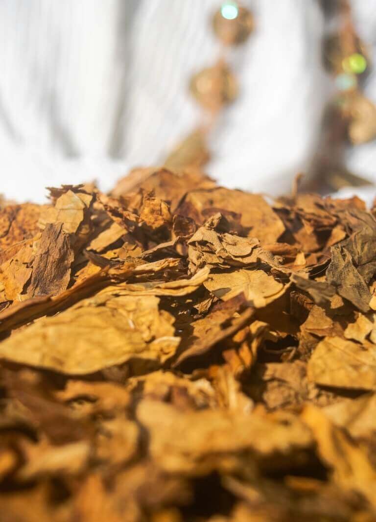 Tabaco ceremonial trozado a mano.
