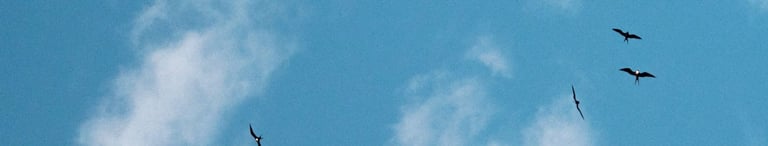 pedazo de cielo celeste con nubes blancas