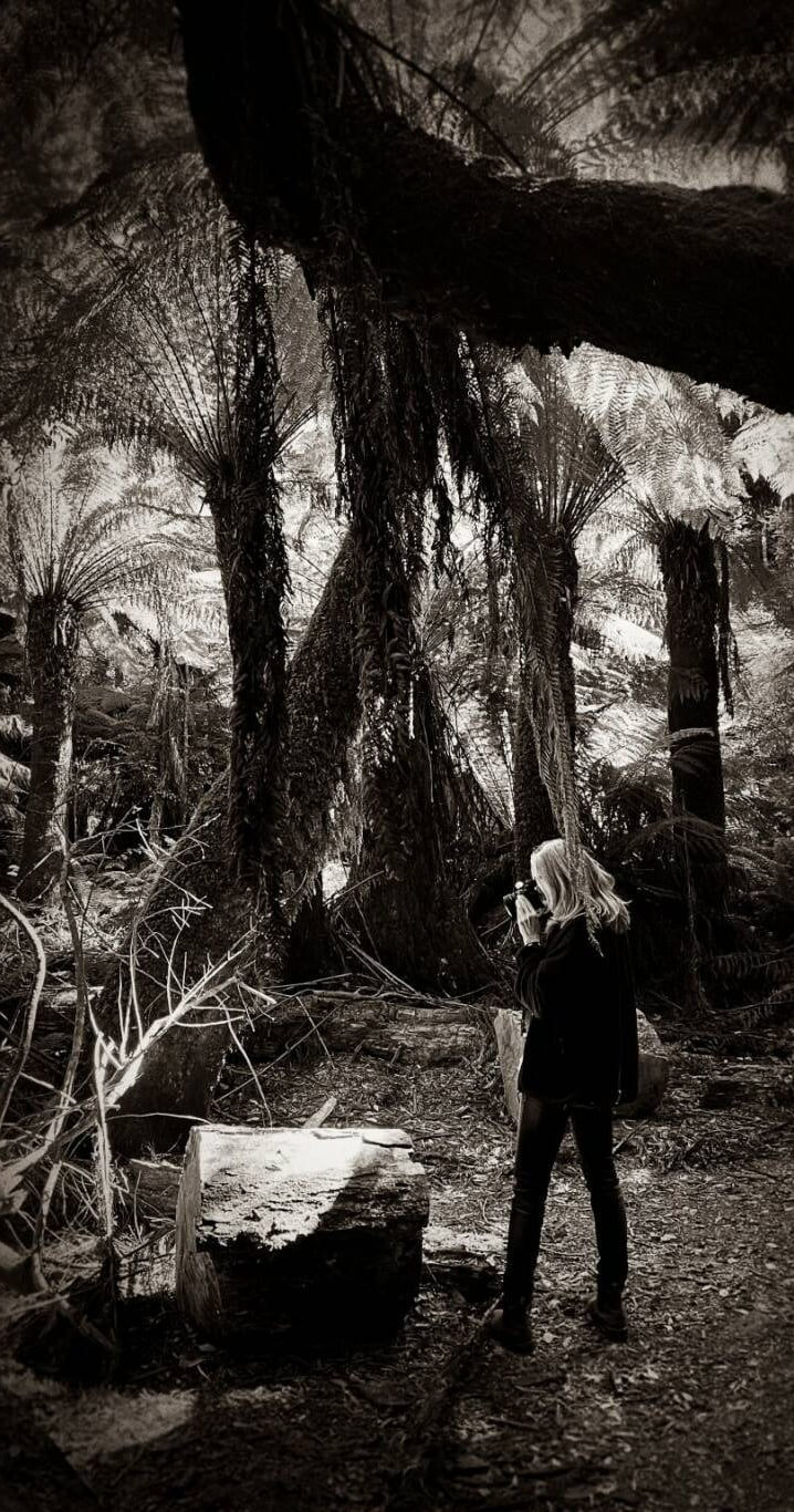 The Australian Journey - rainforest 28, 2024 ©Regina Anzenberger