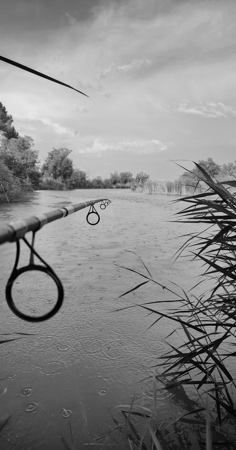 ChatGPT Plus A beautiful image of a river with a fishing rod pointing towards the horizon while rain