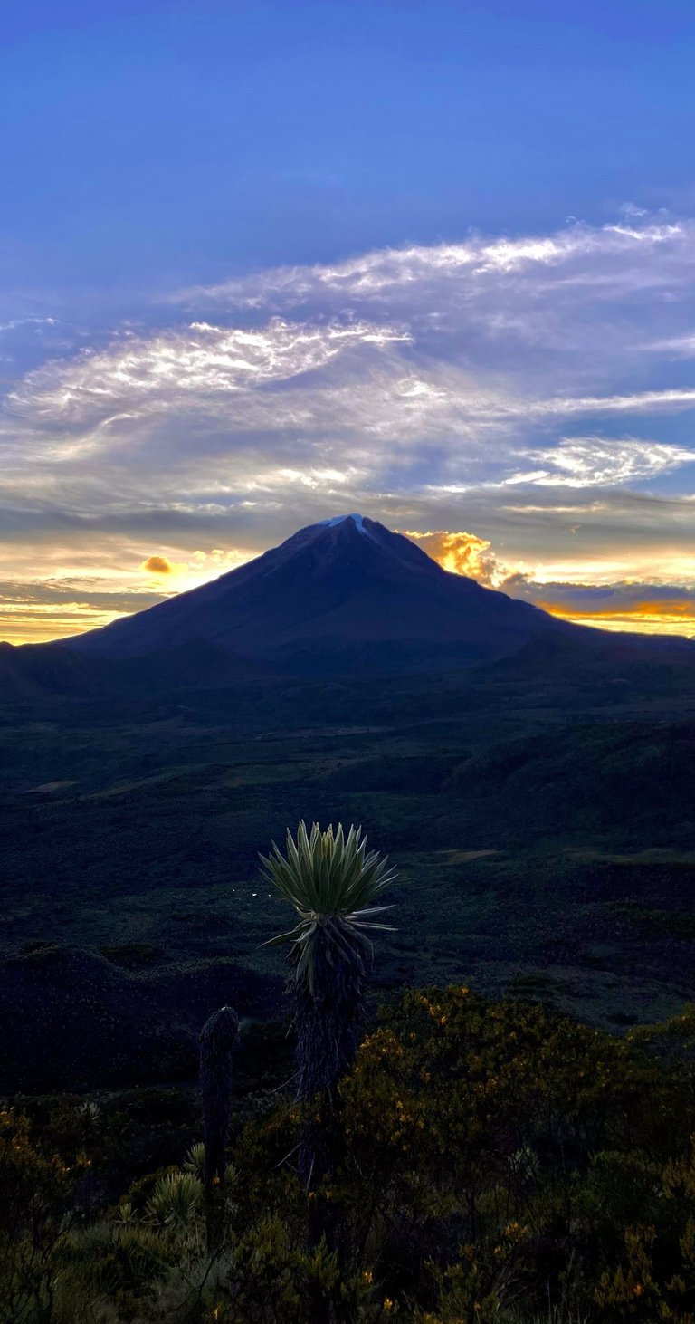 Grupo de caminantes sonriendo junto a un frailejón frente al nevado del tolima.