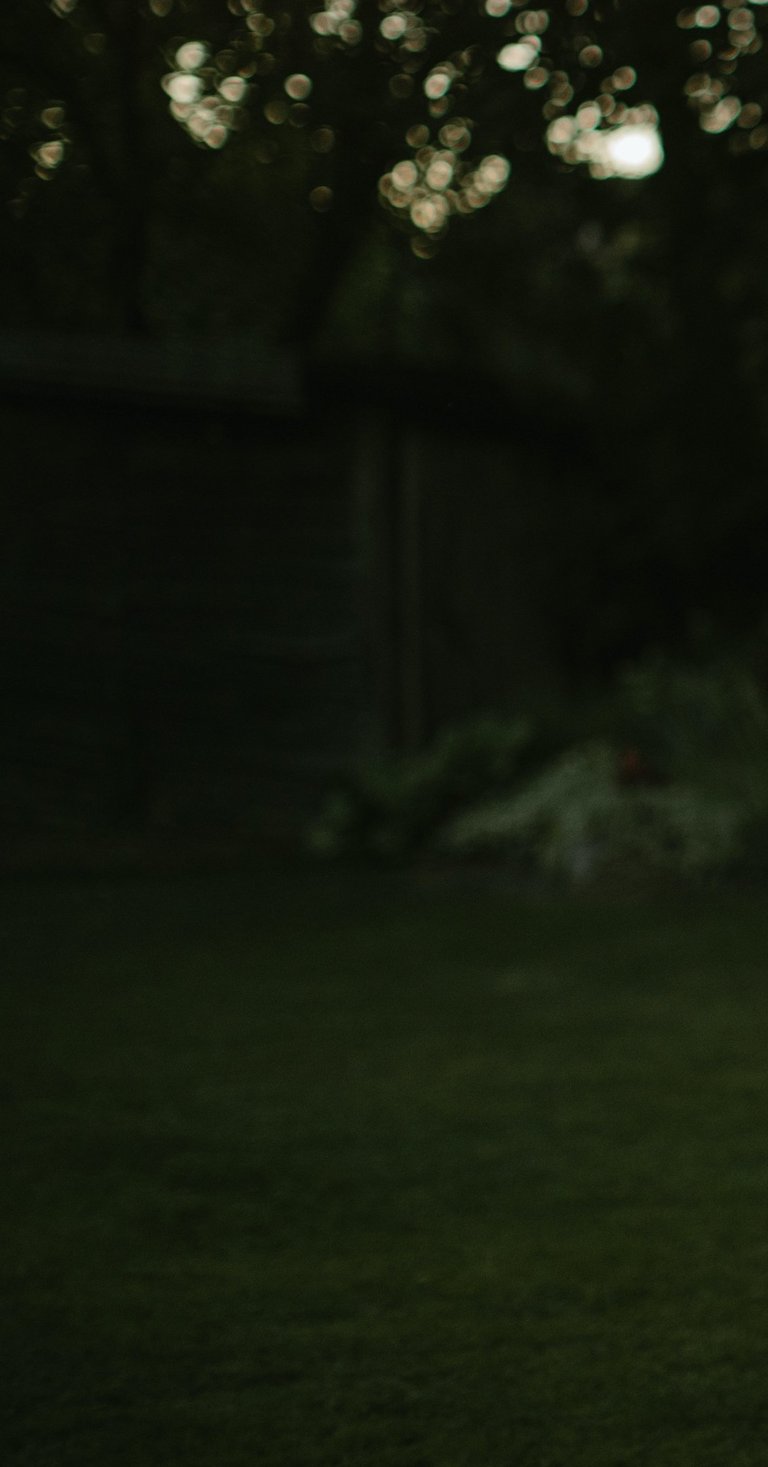 tamsiai žalias abstraktus fonas