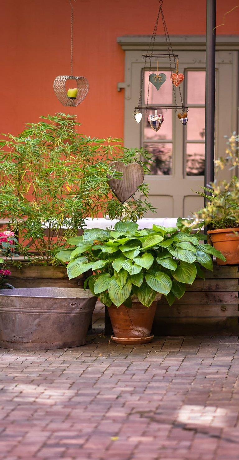 Jardin gite ribeauvillé alsace