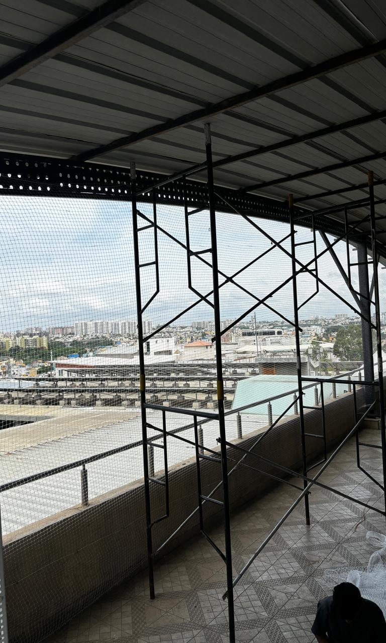 a dog sitting on a balcony with a view of a city
