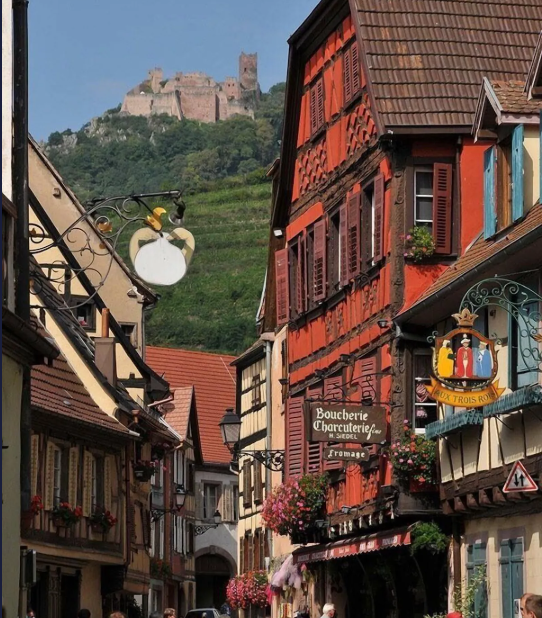 gite ribeauvillé alsace