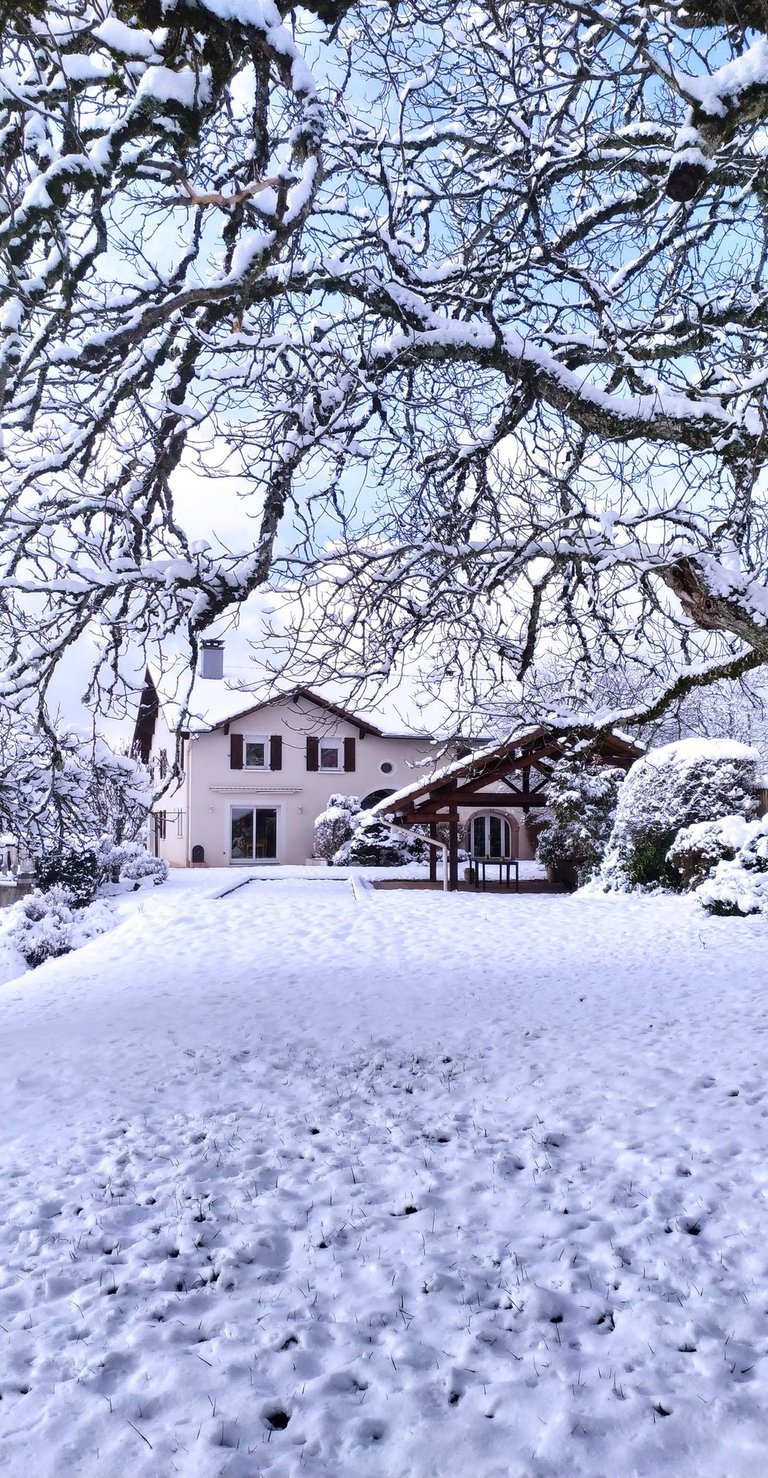 espace extérieur sous la neige