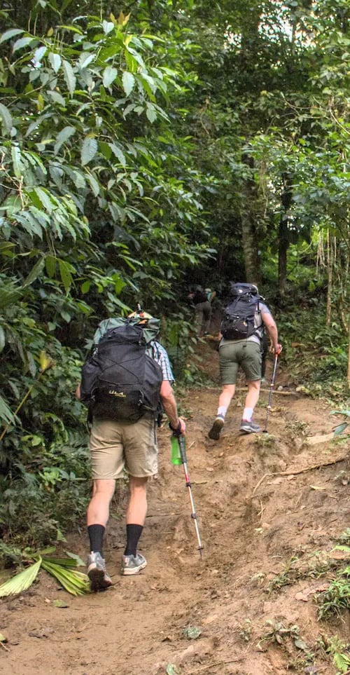 Hikers with backpacks and trekking poles climbing a muddy forest trail on a mountain hike.