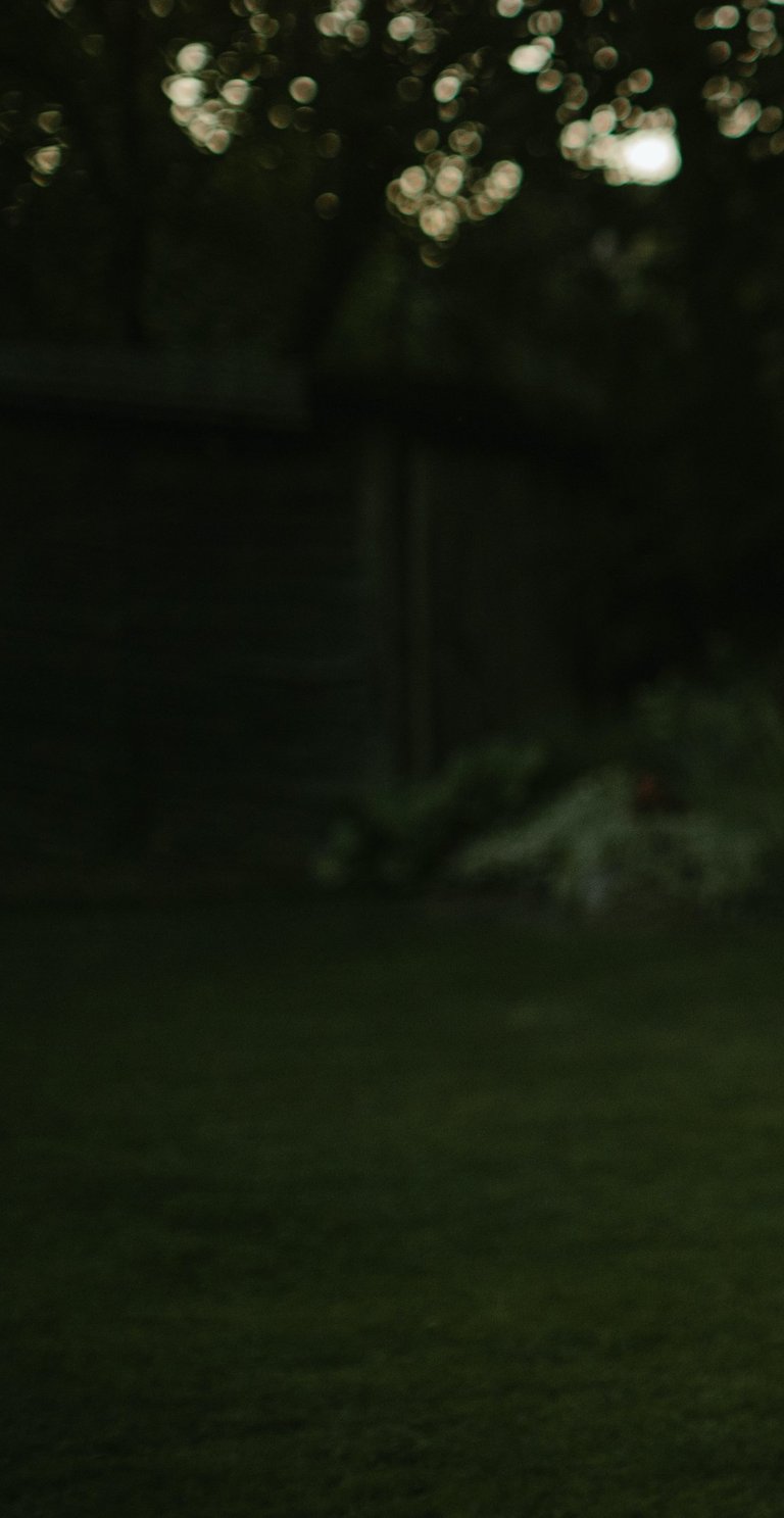 tamsiai žalias abstraktus fonas