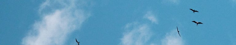 pedazo de cielo celeste con nubes blancas