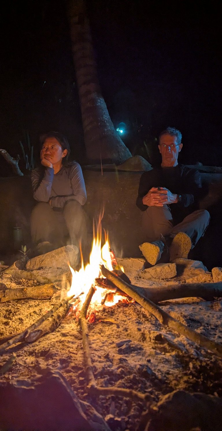 Friends sitting around a glowing beach campfire at night under palm trees.