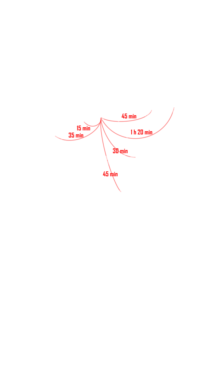 a map of the main road of corsica island