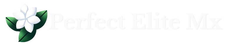 logo horizontal de perfect elite mx con texto