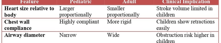 Structural Comparison of Pediatric and Adult Cardiopulmonary System