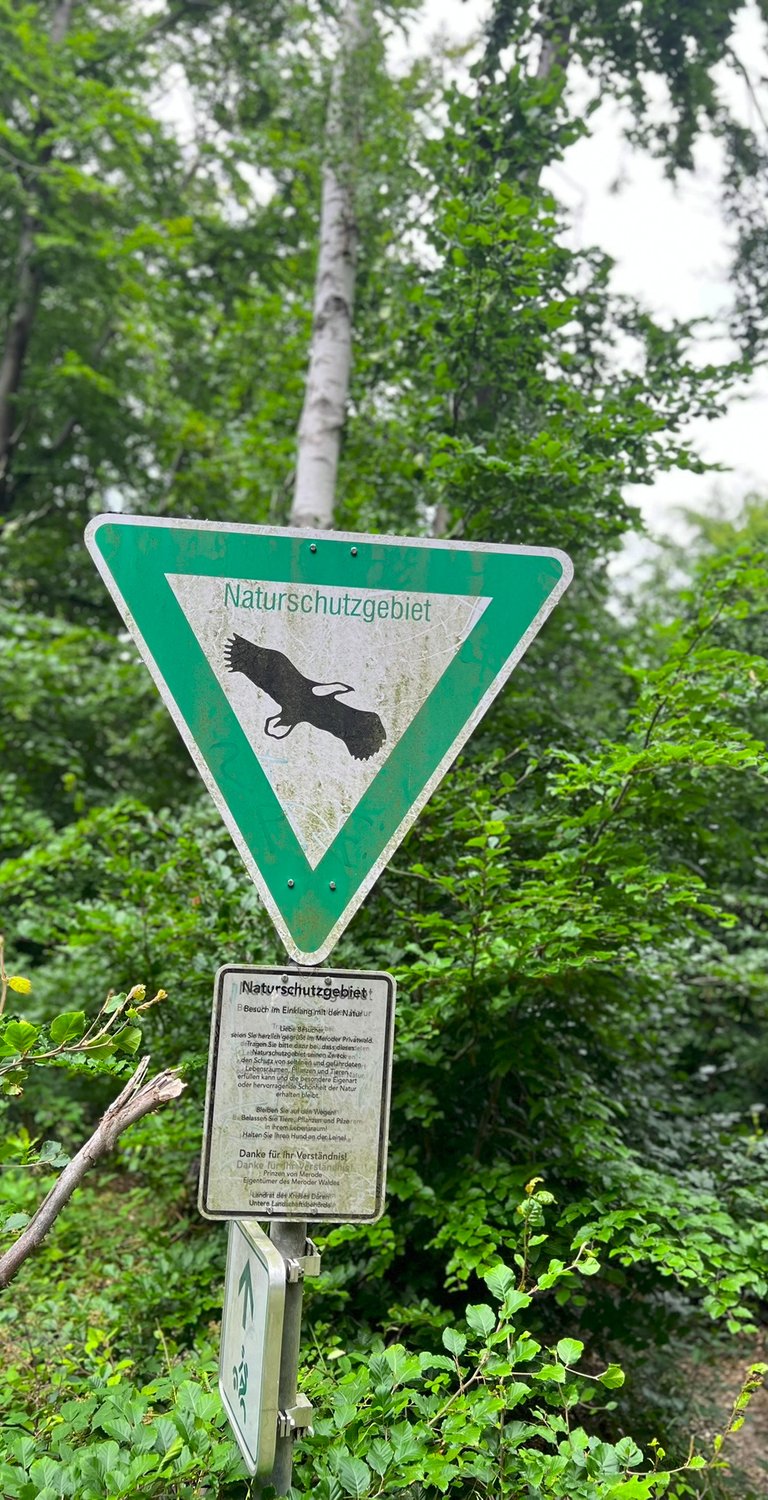 Infobord met aanduiding van beschermd natuurgebied aan de rand van het bos.