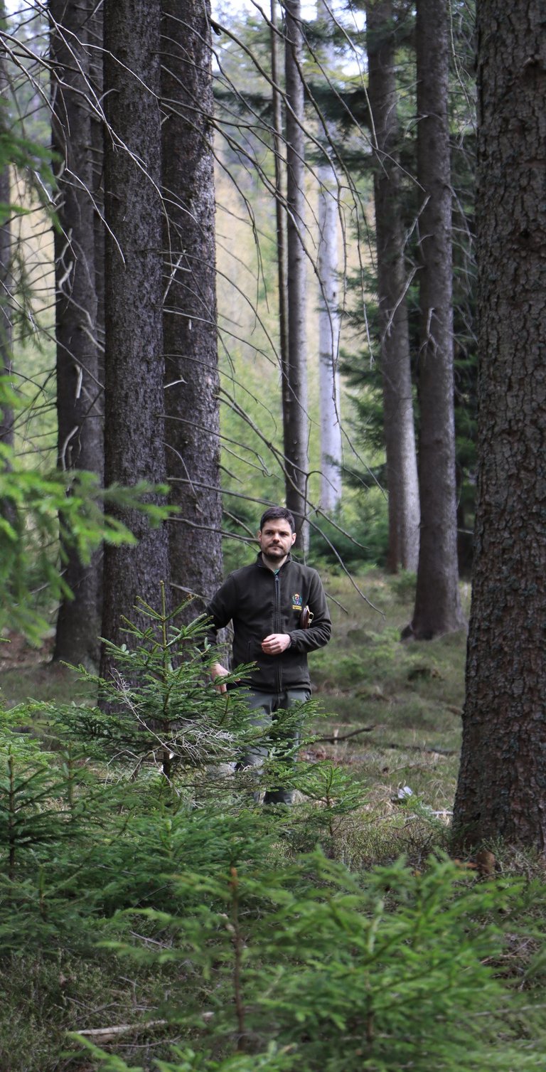 a man in a black jacket is standing in a forest