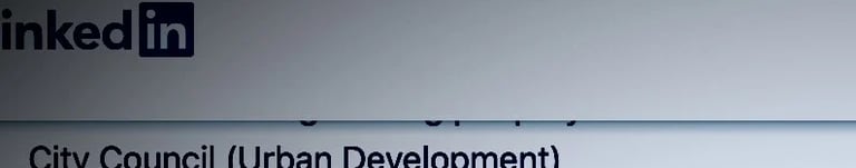 salah hassan al saadi Linkedin