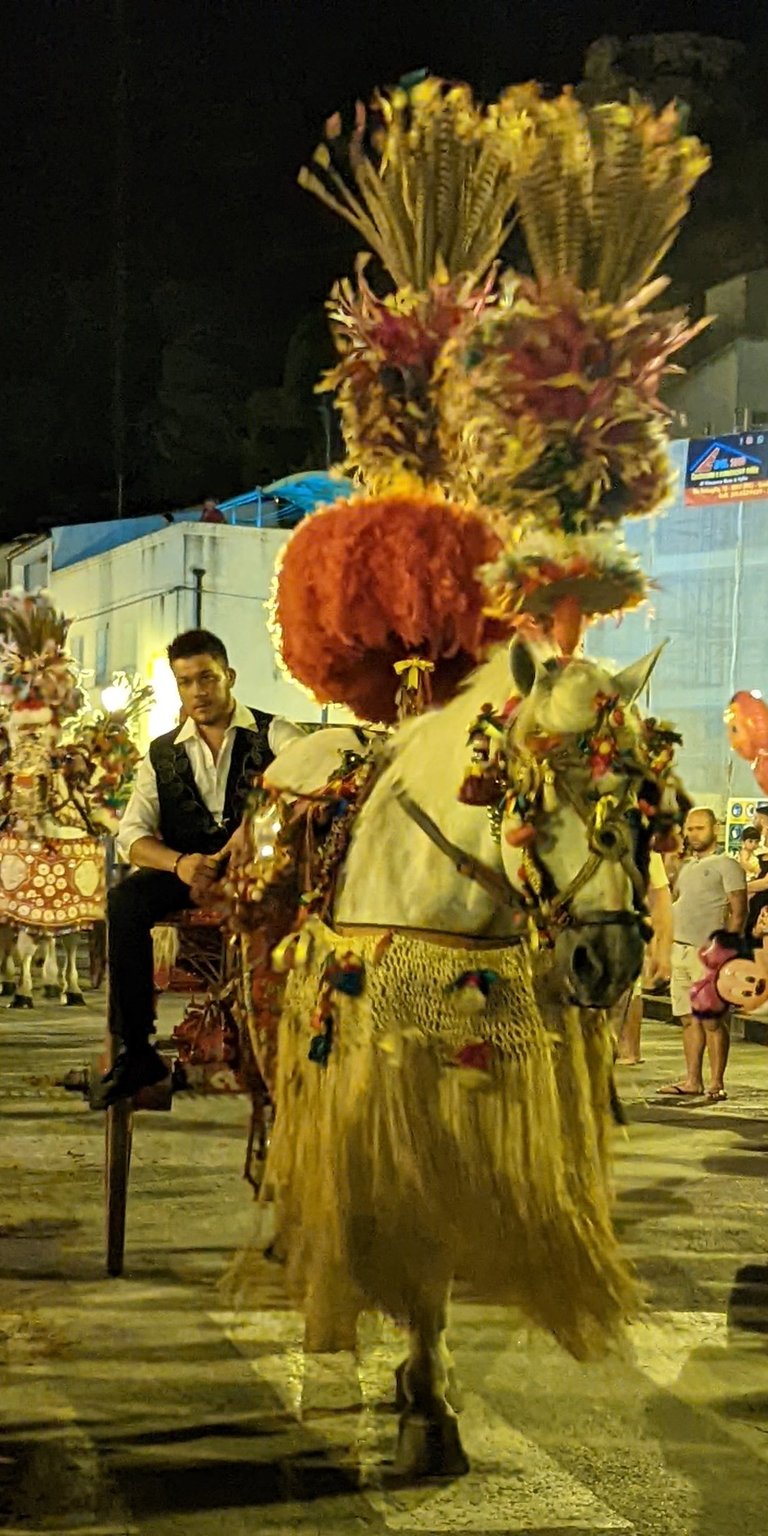 a man in a costume with a horse drawn on a horse