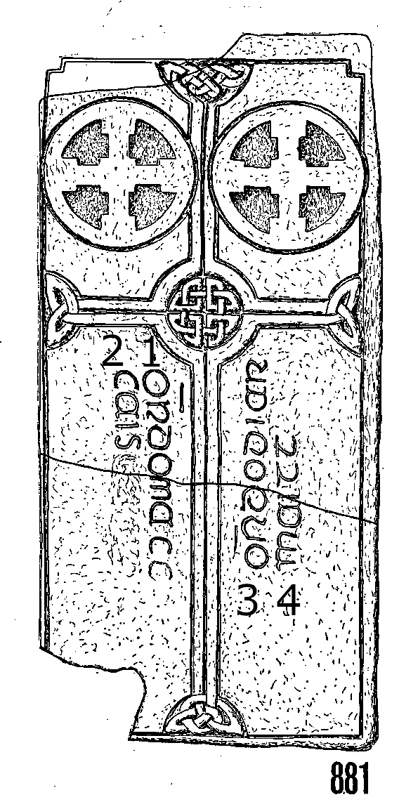 Glendaloch Runestone 881 - Barony of Ballinacor North  Clonlonan, County Wicklow, Ireland 