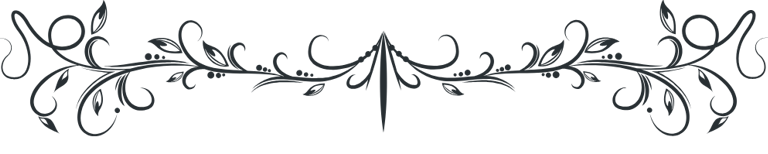 a black and white photo of vector frame